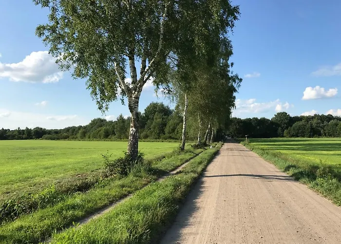 Anna With Sauna In Сasa de vacaciones *